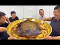 甲鱼炖牛鞭，胖哥和兄弟大碗喝酒，“王八扛枪”确实带劲，太补了！【胖猴仔】