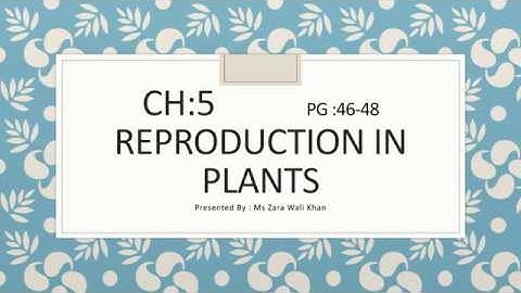 Class 7 Science (Lecture 2 chap  5 Reproduction in plants pg 46-48)