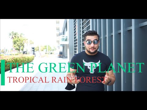 The Green Planet | Secret Tropical Rain Forest | Dubai Tourist Attraction | Exotic Birds | Cinematic