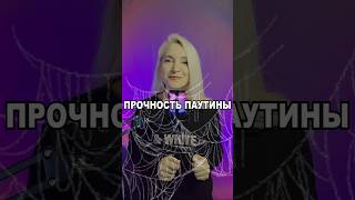 Прочность паутины чёрной вдовы  #физика #знания #наука