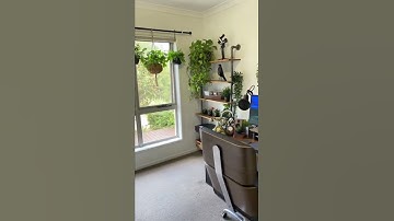 Productive work from home set up. #shortsviral#diyprojects#homeoffice#productivity