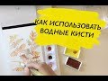 Водные кисти