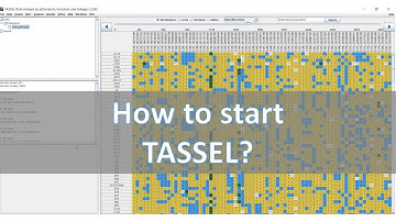 How to start TASSEL  - A genomics software introduction