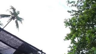My Trip To Pulau Pangkil Bintan