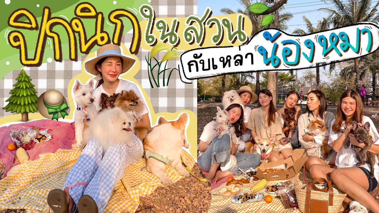 BRINKKTY&THE DOGS🐶 กลับมากับแก๊งค์หมา ปิกนิกในสวน งานนี้ชุลมุนแต่ละตัวสุดปัง ✨ (cielo) | Brinkkty