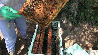 Decongesting Beehives To Limit Swarming