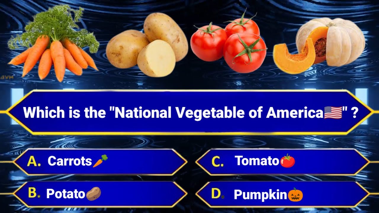 National Symbols of America🇺🇸 /USA | World GK | General Knowledge
