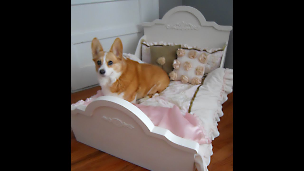 corgi dog bed