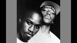 Mobb Deep -Survival Of The Fitnest (Remix) 