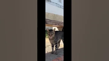 خليت في زناقك قلبي و ذكريات معاك 