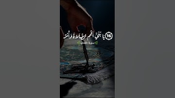 تلاوة قصيرة هادئة من سورة لقمان #بصوتي