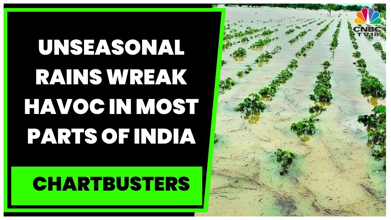 Unseasonal Rains & Hail Wreak Havoc In Most Parts Of India, Crops ...