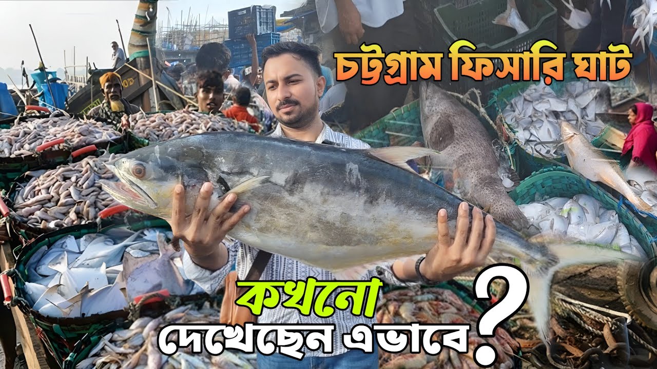 চট্টগ্রাম ফিসারি ঘাট | দেশের সবচেয়ে বড় মাছের পাইকারি বাজার | Chittagong Fishery Ghat