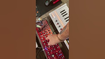 first steps | waveforms