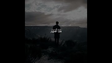 دَعَوُا۟ ٱل‍‍لَّهَ مُخۡلِصِینَ لَهُ ٱل‍‍دِّینَ🌱| تلاوة خاشعة ♥️ بصوت #عبدالرحمن_مسعد ✨💜 ارح سمعك 💙🎧