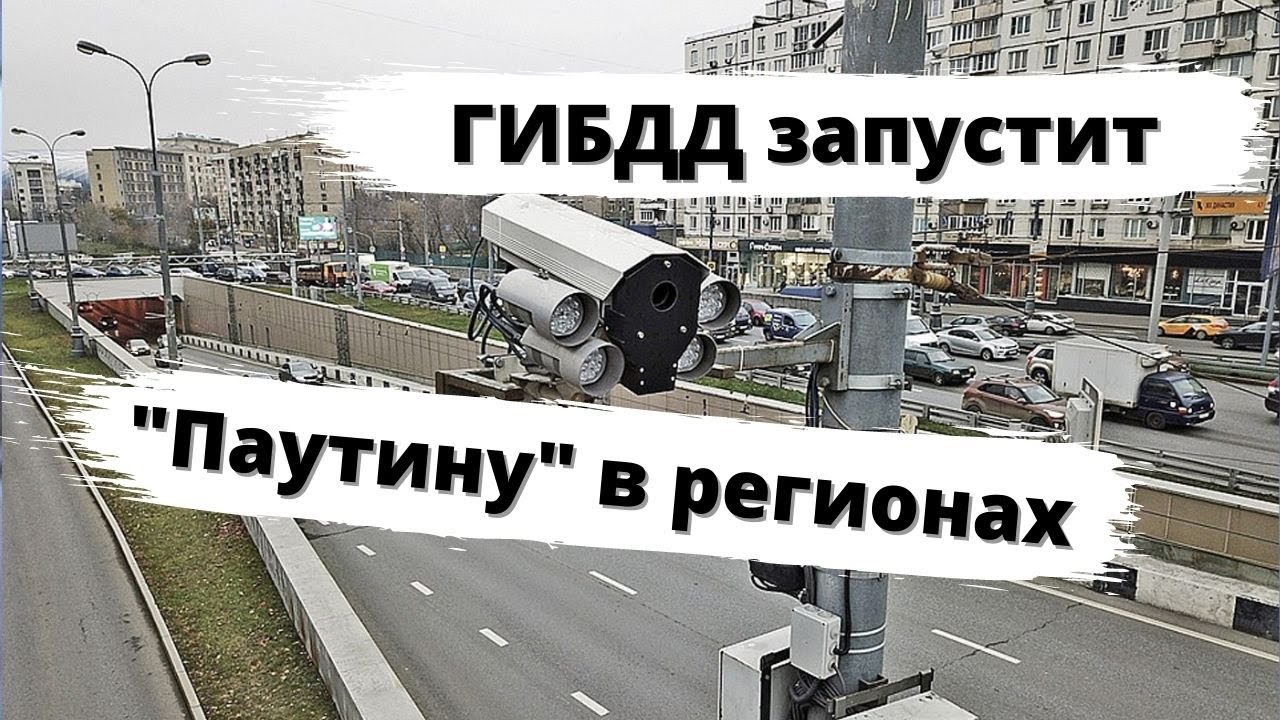 Мвд запустило систему паутина для обжалования штрафов и розыска машин