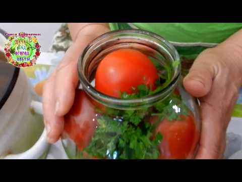 Video: Kuidas Kokk Tomati Seemikud