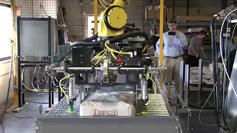 Fanuc Bag Palletizing Robot