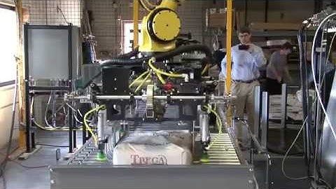 Fanuc Bag Palletizing Robot