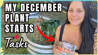 December Gardening in Florida 🌿 Seeds & Tasks
