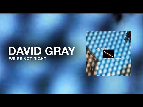 DAVID GRAY - We're Not Right (Official Audio)
