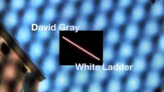 David Gray - We're Not Right (Official Audio) chords