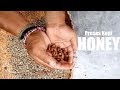 proses kopi honey (full)