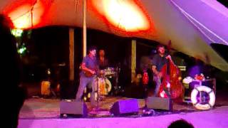 Seth Lakeman - How Much (Live in Regents Park)
