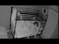 Bunk Bed Caught On Camera Collapsing With Kids On It