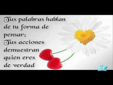 Video: Imagen De Pensamiento