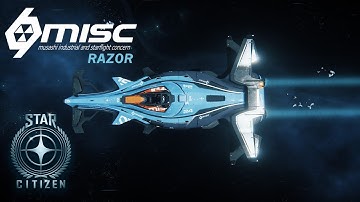 Star Citizen 3.1 (PTU) Misc Razor