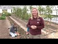 Growing, Eating, and Educating with NanBop Farm Transplanting winter kale