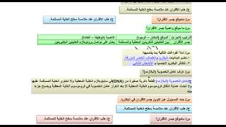 التكاثر في الابتدائيات حلول أسئلة وزارية وأمثلة أثرائية