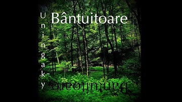 Uqtanga Hsiereksin (Live) - Uningaky