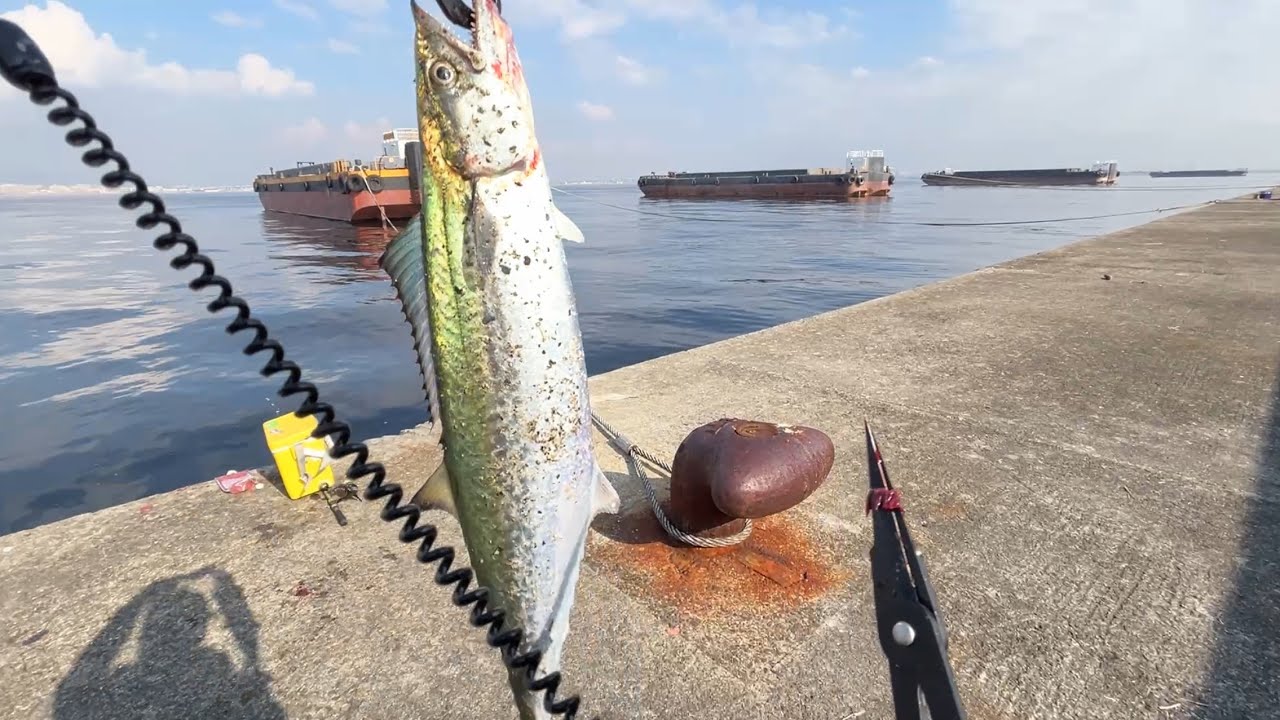 サゴシを早巻き以外で食わせるアクション