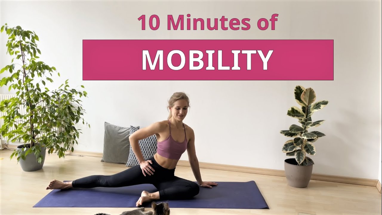 10 Minutes of MOBILITY | Exercises for Everyone | Flexible Joints & Spine