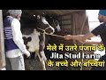 मेले में उतरे आज पंजाब के Jita Stud Farm के बच्चे और बच्चियां -Bhatner Mela 2020