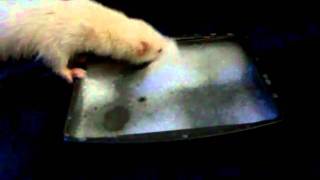 spaz playing in bubbles