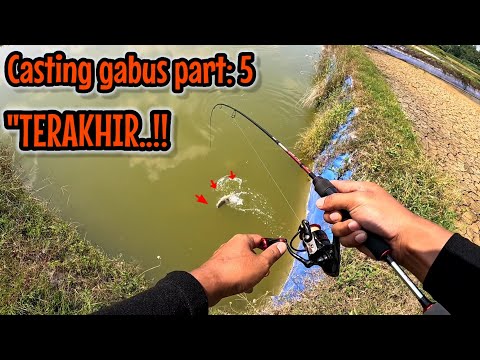 CASTING GABUS PART: 5 ‼️KITA MAKSIMALKAN KARENA MUNGKIN INI AKAN JADI EPISODE TERAKHIR