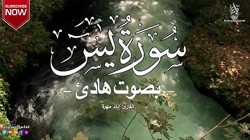 سورة ياسين بصوت القارئ إياد مهرة