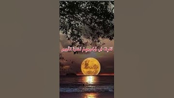 إِنَّ الْأَبْرَارَ لَفِي نَعِيمٍ♥️#اطمئنان #راحة_نفسية #سورة_المطففين