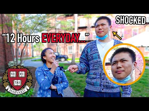 Harvard Students Answer JUICY Questions