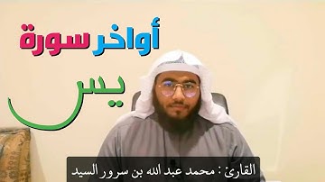 أَوَلَمْ يَرَ الإِنسَانُ أَنَّا خَلَقْنَاهُ مِن نُّطْفَةٍ |أواخر سورة يس | تلاوة القرآن الكريم |