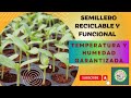 SEMILLERO RECICLABLE TIPO INVERNADERO... Los mejores consejo para germinar semillas