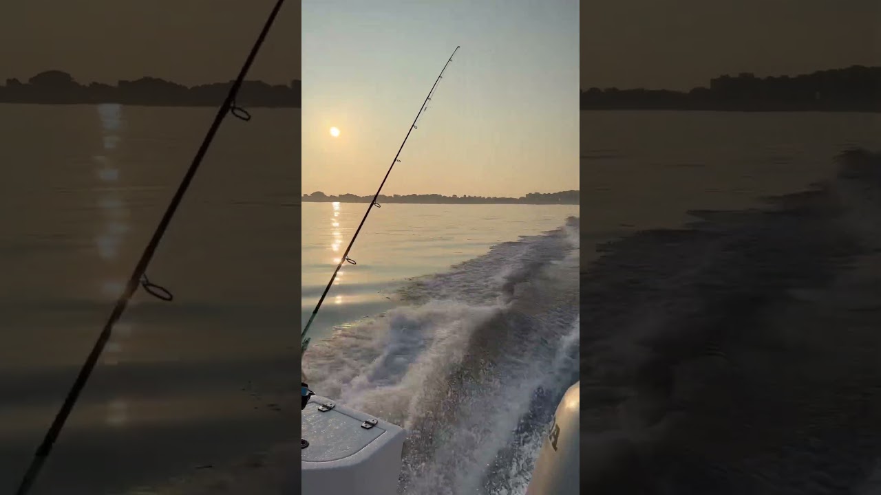 Sunrise in Hull Bay🌅 