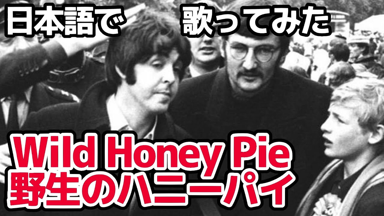 【ビートルズ】野生のハニー・パイ（Wild Honey Pie）【日本語で歌ってみた】