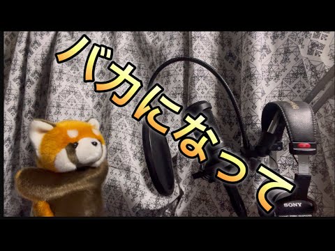 【あらいぐまが】バカになって/すりぃ【歌ってみた】【ごーみん】