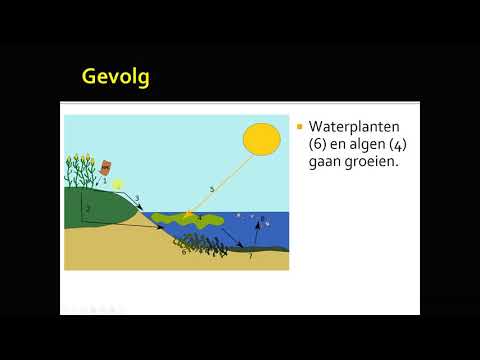 Video: Is eutrofiëring en algenbloei hetzelfde?