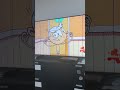 IMG 3113