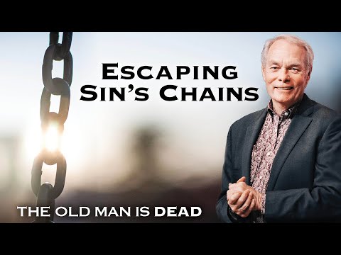 The Old Man